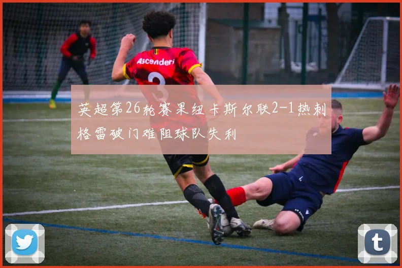 英超第26轮赛果纽卡斯尔联2-1热刺格雷破门难阻球队失利