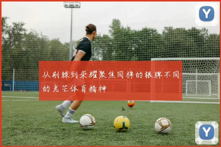 从荆棘到荣耀聚焦同样的银牌不同的光芒体育精神