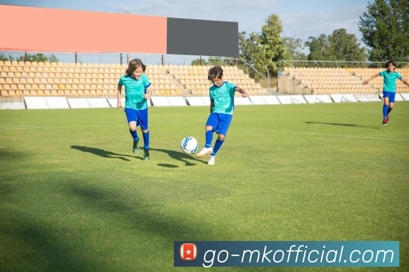 MK体育2026入口服务体系