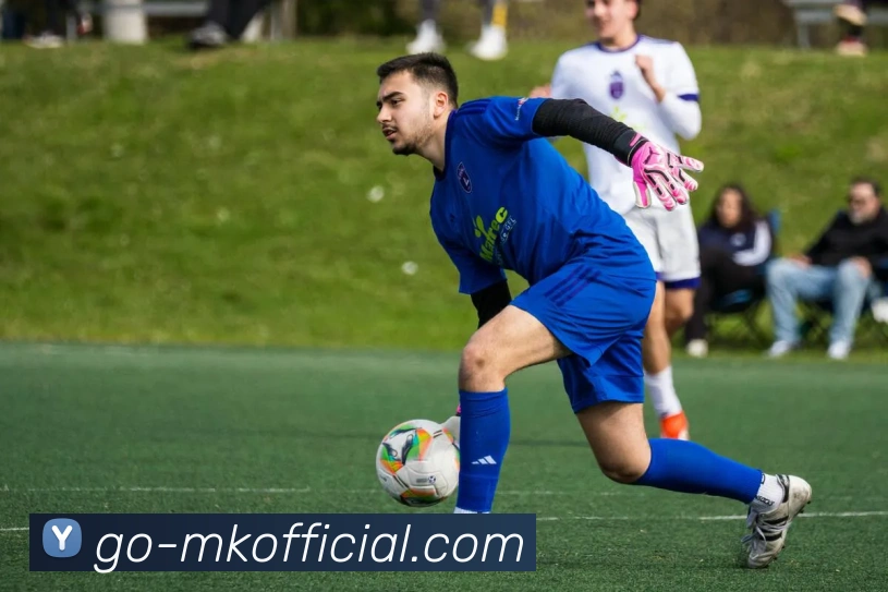 MK体育2026入口全站App